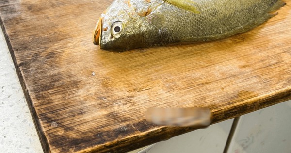 5 thứ trong bếp "độc như nọc rắn", tàn phá cơ thể: Tôi thật lòng khuyên bạn vứt chúng đi ngay lập tức