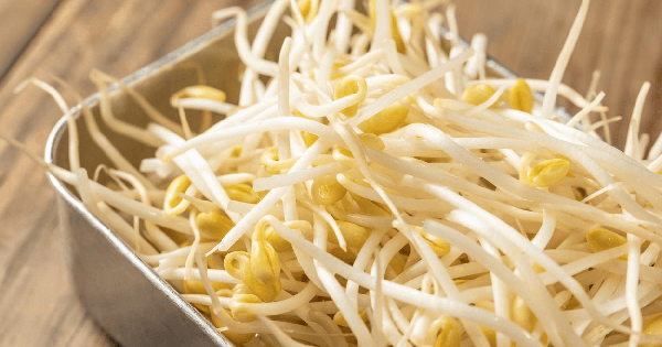 Ăn thực phẩm có tính kiềm vào mùa thu để giảm nhiệt cơ thể: Đừng tiết kiệm mà hãy ăn thường xuyên 5 món này để giữ ẩm và giảm đau họng