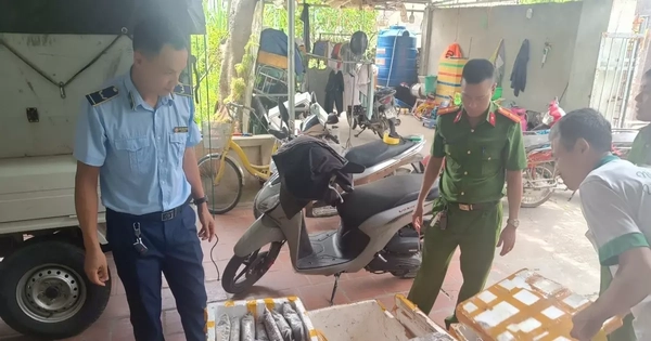 Thanh Hóa phát hiện cơ sở kinh doanh thực phẩm là côn trùng bốc mùi