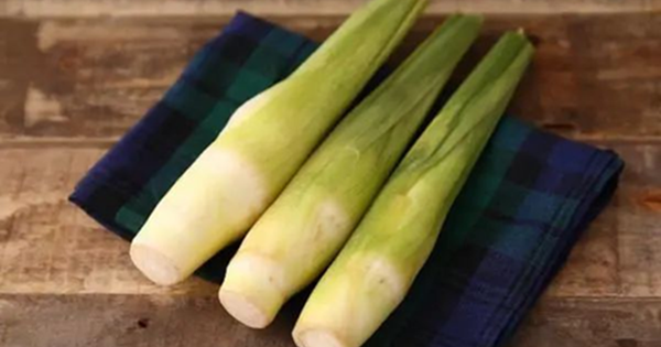 5 loại rau chứa "cả ổ sâu ẩn", ăn sống tương đương nuốt hết ký sinh trùng vào bụng