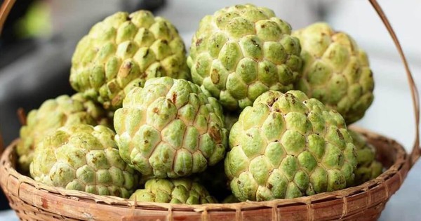 Quả na ngon nhưng có một phần "cực độc", biết mà tránh kẻo ngộ độc, mù mắt