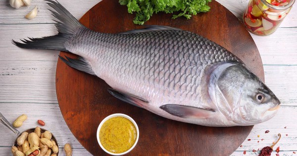 5 bộ phận của cá không nên ăn: Cái cuối cực độc nhưng nhiều người tưởng bổ