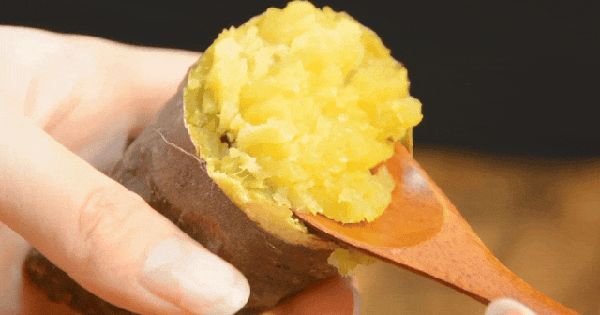 1 loại khoai lang Trung Quốc bỗng được "săn lùng ráo riết" tại Việt Nam: Bất ngờ với hàm lượng dinh dưỡng