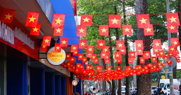 Ngắm phố phường TPHCM rực rỡ cờ hoa