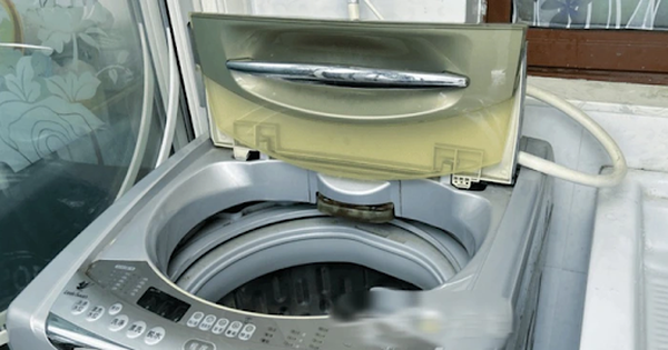 Nên mở hay đóng cửa máy giặt khi không dùng: Hóa ra bấy lâu nay nhiều người vẫn hiểu lầm