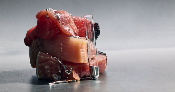 4 loại cá làm tăng nguy cơ mắc ung thư: Toàn món khoái khẩu của nhiều người