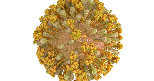 Infographic: Các triệu chứng của bệnh chikungunya