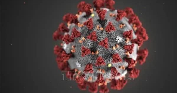 COVID-19 có thể khiến mạch máu phụ nữ lão hóa nhanh trước 5 năm