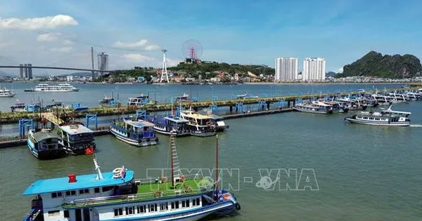 Quảng Ninh tạm ngừng cấp phép cho phương tiện thủy ra khơi