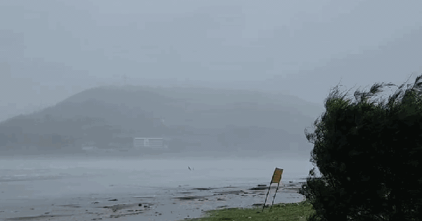 Trước giờ "G" bão số 5 Kajiki đổ bộ, mưa trắng trời, cây đổ, gió giật mạnh