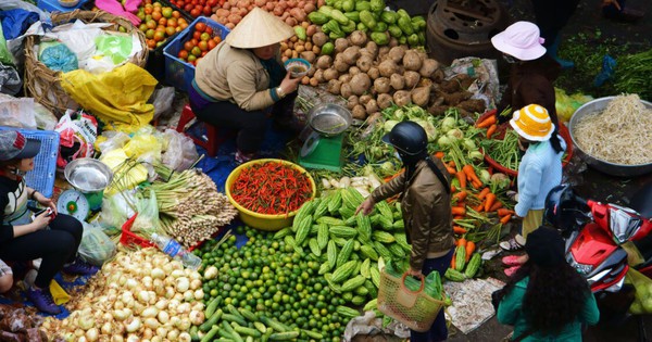 Các nhà khoa học Mỹ: Đây là loại quả ‘cắt’ nguồn sống của tế bào ung thư - chợ Việt luôn sẵn!