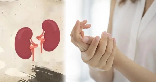 Một khi 5 "dấu hiệu xấu xí" này xuất hiện trên bàn tay, thận có thể đã bị "rỗng"! Ăn 3 "món" màu đen để thận khỏe
