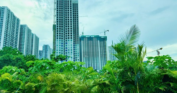 Thị trường Bất động sản cuối năm 2025: Giá tiếp tục "trượt xa tầm với"