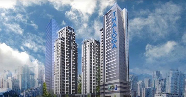 May Thăng Long bị phạt do vi phạm công bố thông tin