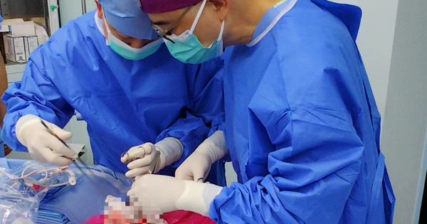 Lần đầu tiên: Phổi lợn biến đổi gen được cấy ghép vào một người đàn ông chết não