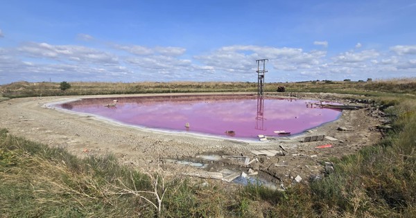 Sự thật sốc về hồ nước màu hồng neon tuyệt đẹp