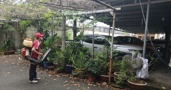 Dịch bệnh sốt xuất huyết ở TP HCM tăng báo động, hơn 70% là ca mắc nặng