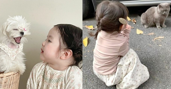 Đứa trẻ yêu thương và được dạy dỗ yêu thương động vật lớn lên sẽ như thế nào?