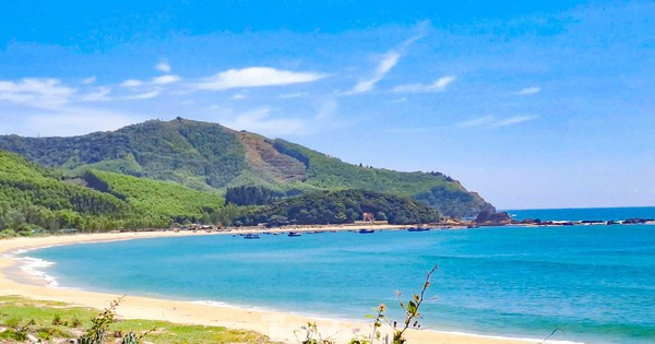 Điều chỉnh cục bộ quy hoạch chi tiết hệ thống cảng biển