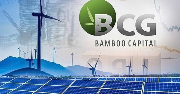 Cổ phiếu “họ” Bamboo Capital bất ngờ được nhà đầu tư “gom” đột biến, đồng loạt tăng “bốc đầu”