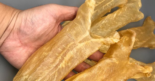 3 bộ phận của cá "quý như vàng" nhưng nhiều người không biết mà ăn, thường vứt vào THÙNG RÁC