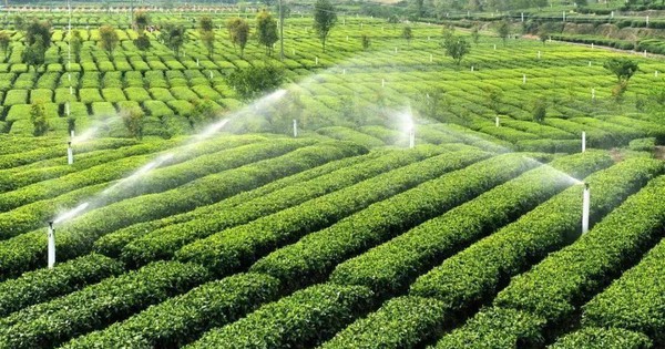 Thêm trường hợp mới sẽ được bồi thường khi Nhà nước thu hồi đất, người dân lưu ý!