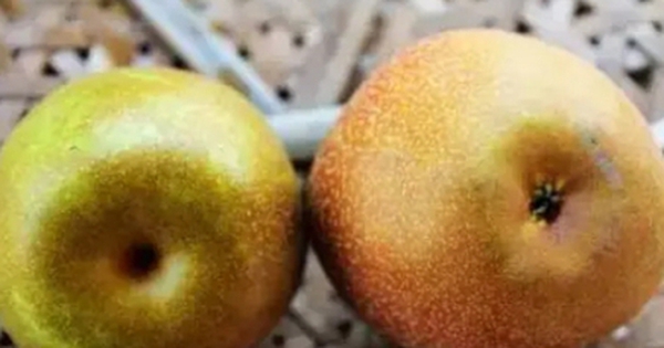 Mua lê đừng dựa vào kích thước, biết 5 điều này sẽ chọn được lê ngon