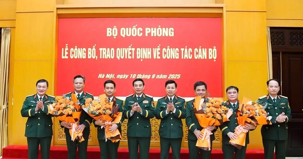 Tập đoàn Viettel có thêm hai Phó Tổng giám đốc