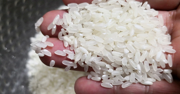 Nói thẳng: 6 loại thực phẩm này có độc, ngon rẻ mấy cũng đừng ăn