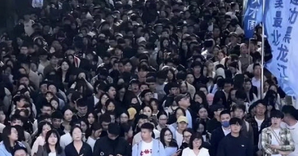 Hàng nghìn người xếp hàng để xin việc, thạc sĩ cũng phải đứng chờ