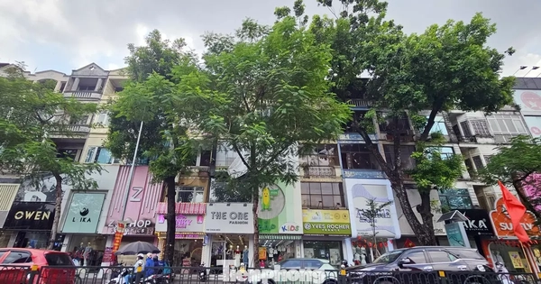 Không phải phố cổ, những tuyến đường ở Hà Nội có giá rao bán vượt 1 tỷ đồng/m2