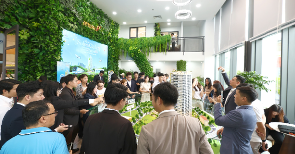 Cầu tăng - cung hiếm, tạo lợi thế cho nhà đầu tư ArtStella