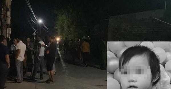 Nghệ An: Đúng ngày giỗ con gái đầu tử vong vì đuối nước, mẹ ngã quỵ khi tiếp tục phát hiện thi thể con út 18 tháng tuổi dưới ao