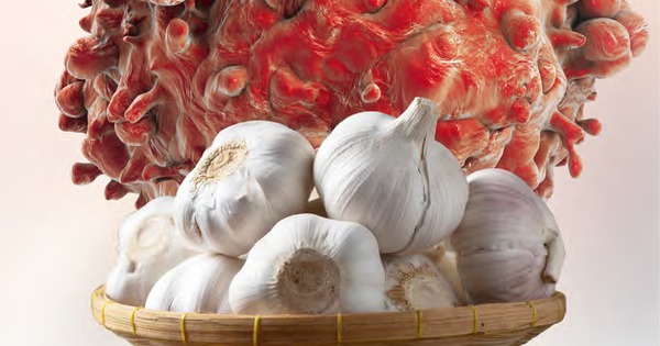 Mối liên hệ không ngờ giữa tỏi và ung thư