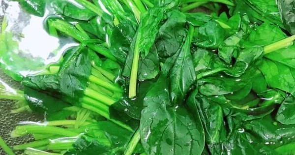 4 loại rau này không chần nước sôi coi chừng cả nhà trúng độc, loại thứ 2 rất nhiều người mê