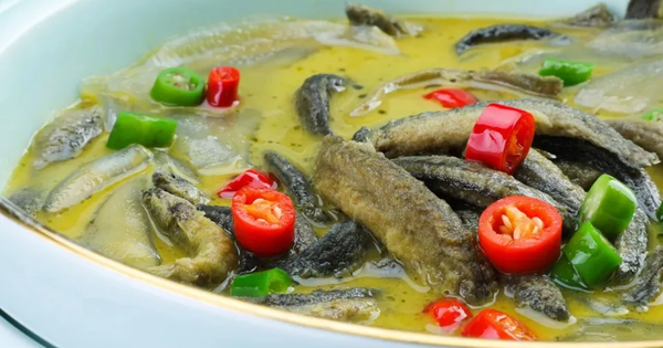 Loại cá được ví như “nhân sâm dưới nước”, giàu protein hơn cá hồi, canxi gấp gần 3 lần sữa bò