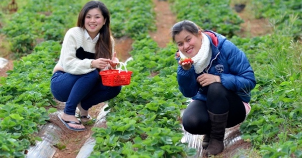 New Zealand điều chỉnh chính sách thị thực để giữ chân lao động tay nghề cao