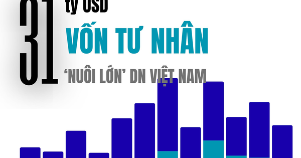 31 tỷ USD "nuôi lớn" Masan, Tiki, Equest, Golden Gate... trong 1 thập kỷ từ dòng vốn tư nhân