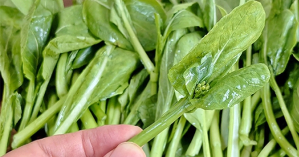 3 loại rau mùa thu được gọi là "vua canxi", ai cũng nên ăn thường xuyên