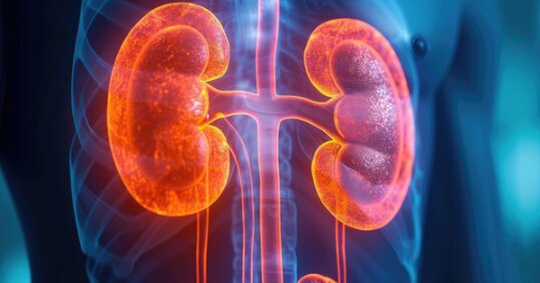 Người có thận yếu thường bị đau ở 5 vị trí: Có 1 cũng cần đi khám ngay!