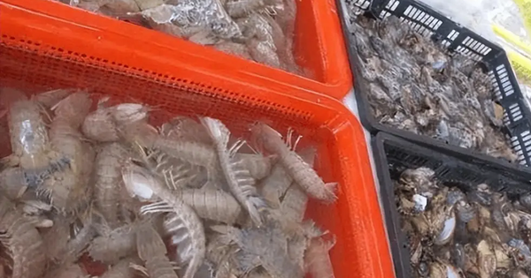 4 thực phẩm dễ bị pha tạp nhất chợ, mua không chú ý nhận về toàn hàng giả