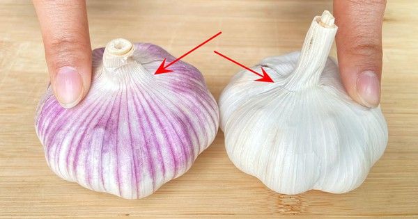 1 phần của tỏi 10 người ăn thì 9 người vứt bỏ mà không biết có tới 6 "chất vàng" cho tim mạch, chống lão hóa "thần kỳ"