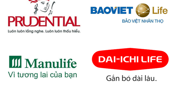 Công ty bảo hiểm nhân thọ nào đang đổ nhiều tiền nhất vào chứng khoán?