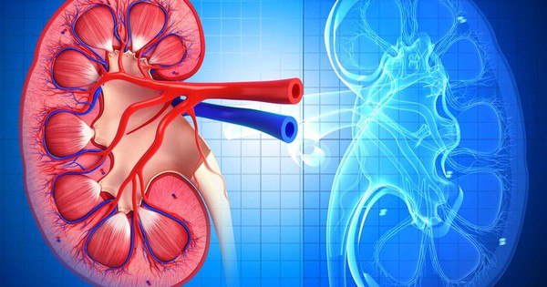 Khi thận suy hỏng, cơ thể sẽ sưng ở 1 vị trí: Rất nhiều người bỏ qua