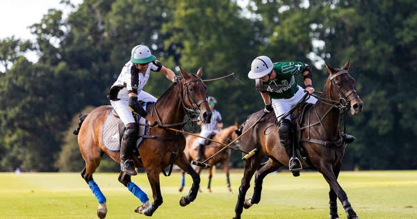 Polo – môn thể thao khiến giới thượng lưu bỏ quên golf và tennis