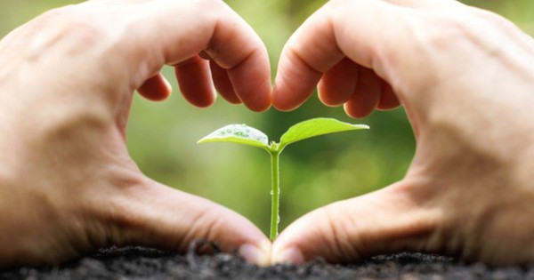 3 “chỉ số tâm lý” chứng minh bạn thật sự đã tìm thấy một "bến đỗ" an toàn