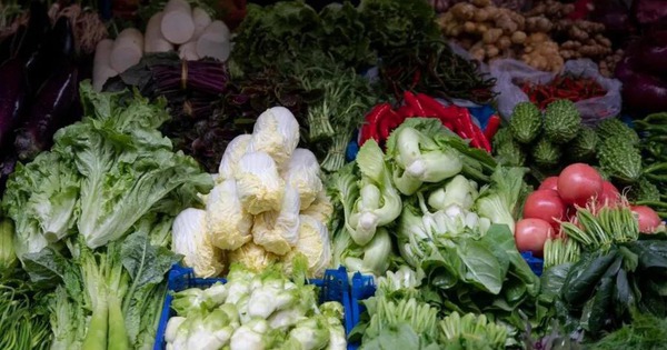 Người bán rau nói thẳng: Đi chợ thấy rau củ có 4 đặc điểm này, rẻ như bèo cũng QUAY XE!