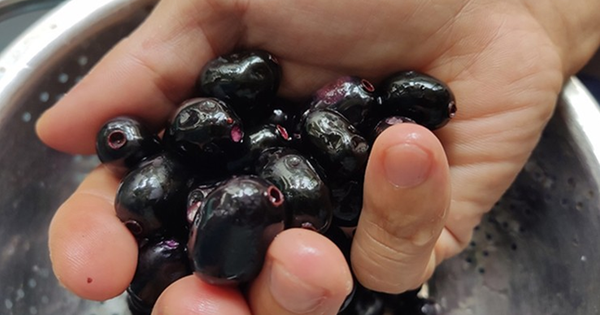 Loại cây dại mọc bờ rào Việt Nam, nay "trời tây" bán nửa triệu/kg