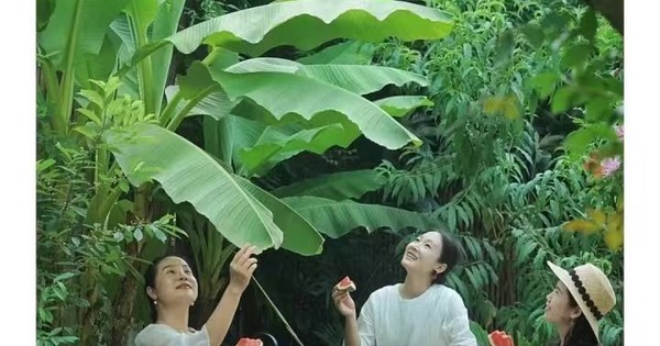 5 thời điểm đời người sẽ rơi xuống đáy, bước qua tuổi trung niên tôi nhận ra chỉ có 1 cách duy nhất để bật lên