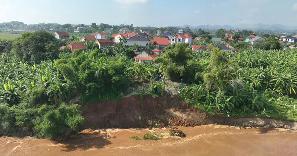 Không có chuyện vỡ đê hữu Thao ở Phú Thọ